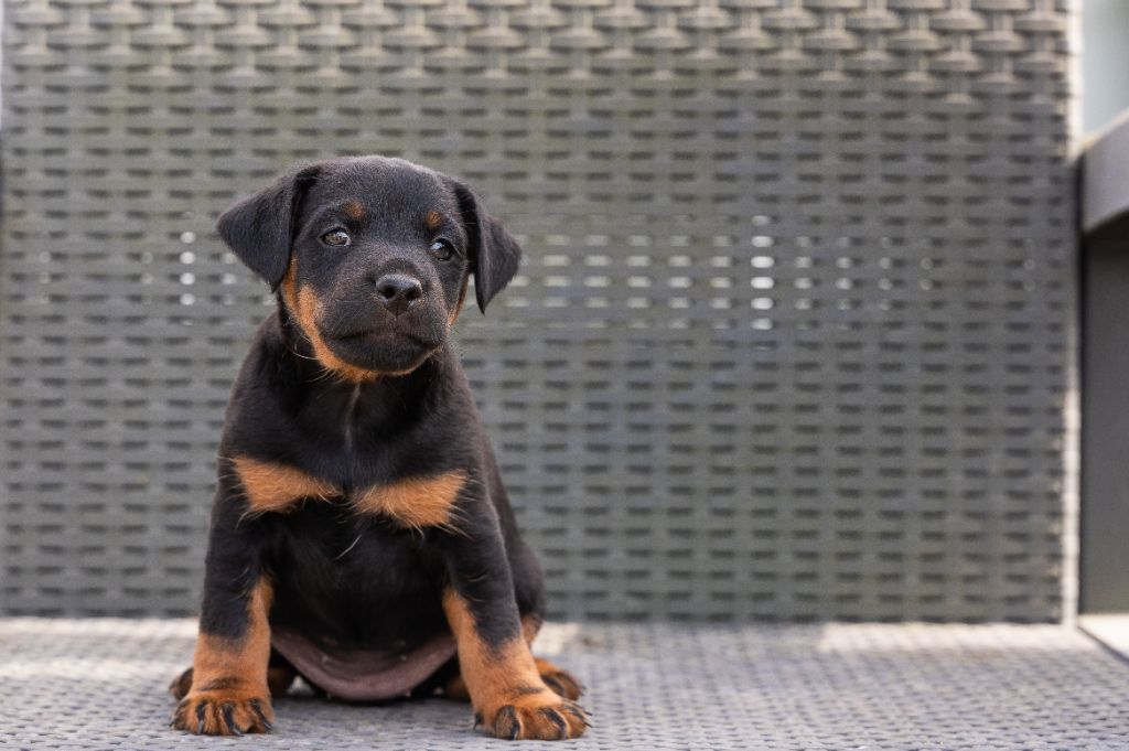 Agathe De La Maison De Paveroce